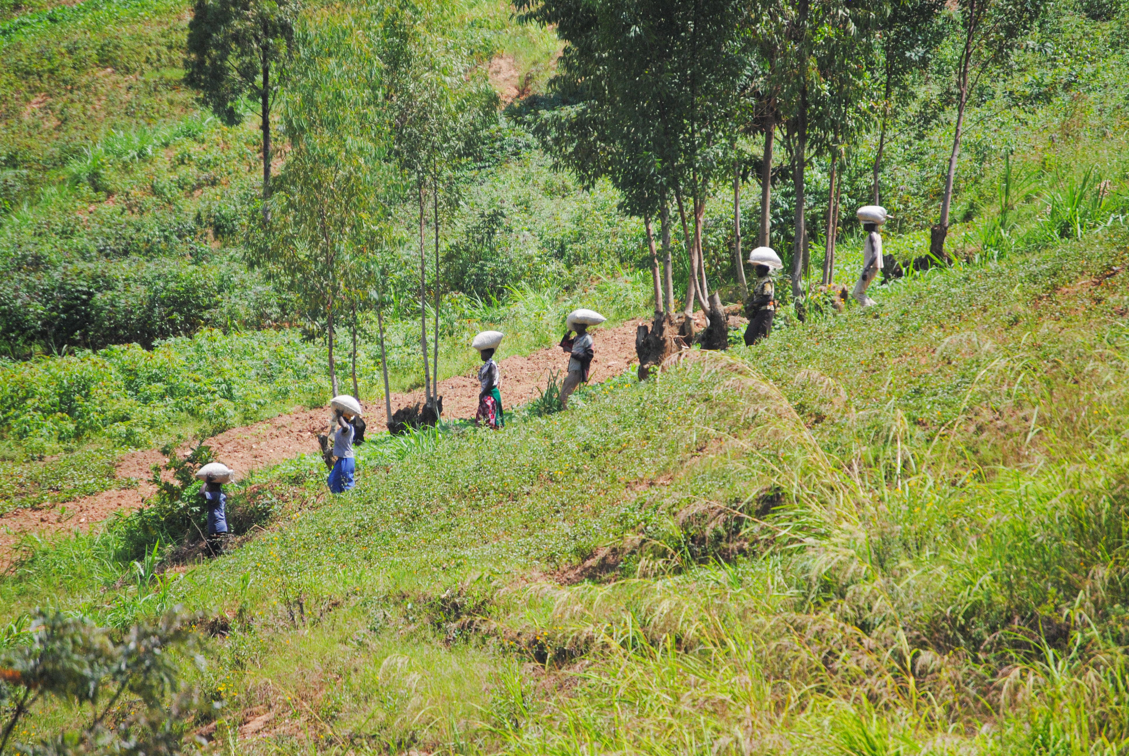 Rwanda