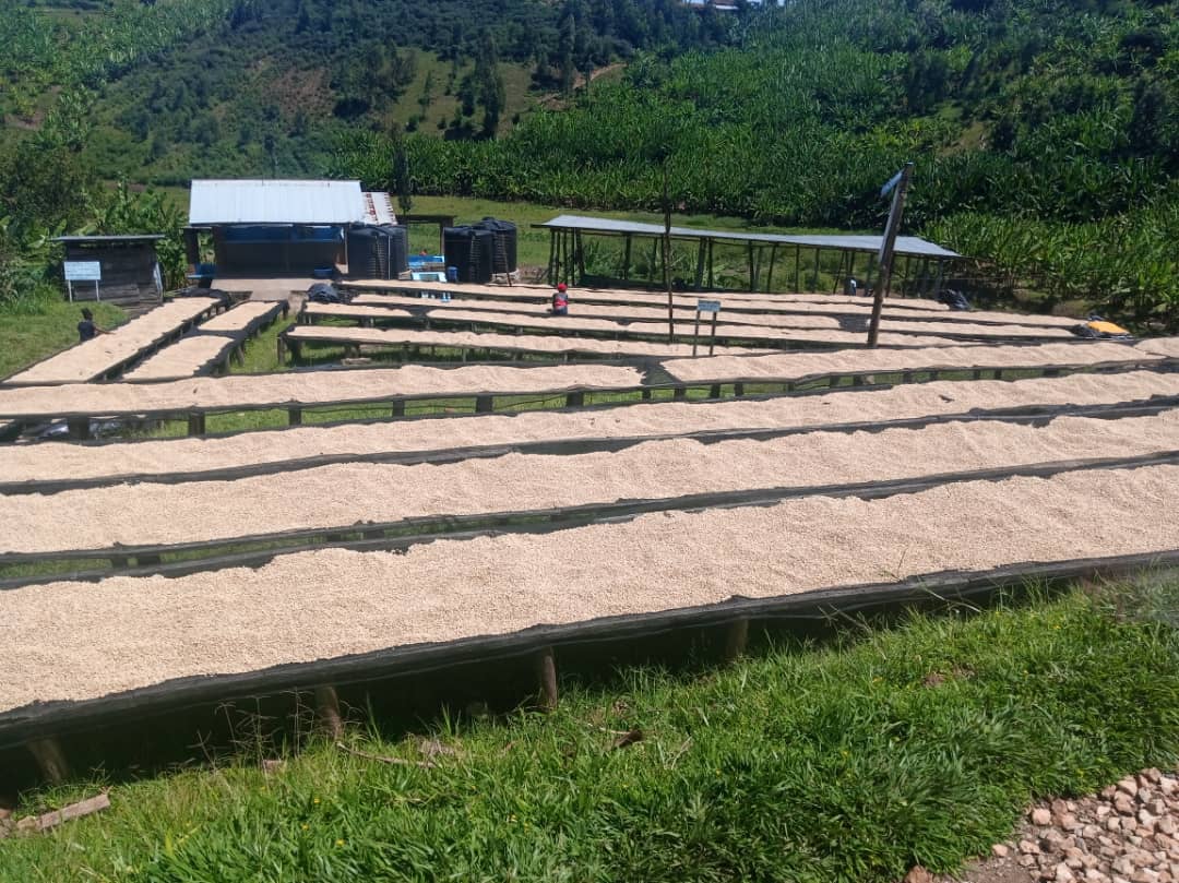 Burundi