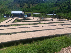 Burundi