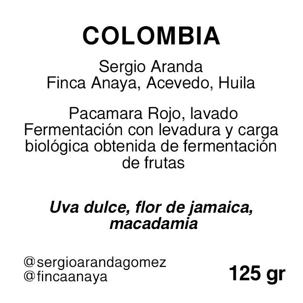 Sergio Aranda - Colombia